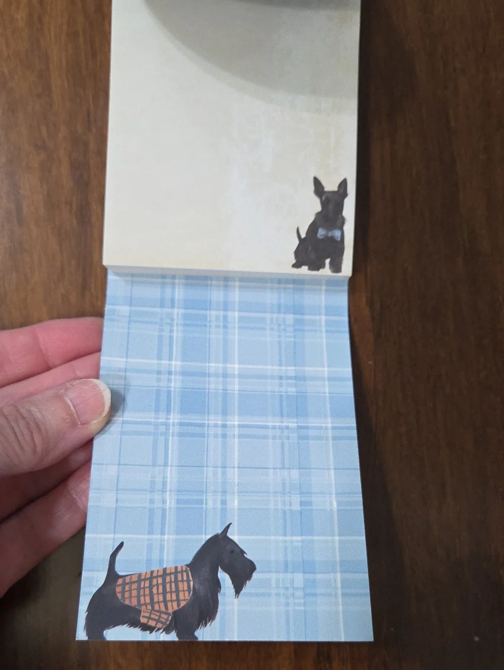 MOLLY & REX POCKET NOTEPAD DACHSHUND SCOTTIE BULLDOG FRENCHIE